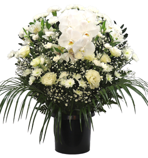 22,000円 洋花ホワイト
