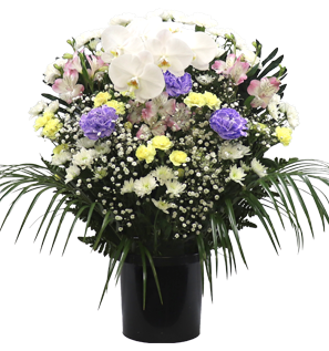 22,000円 洋花ミックス