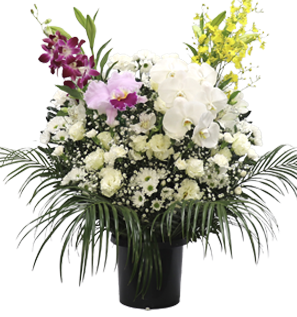 29,700円 洋花ホワイト